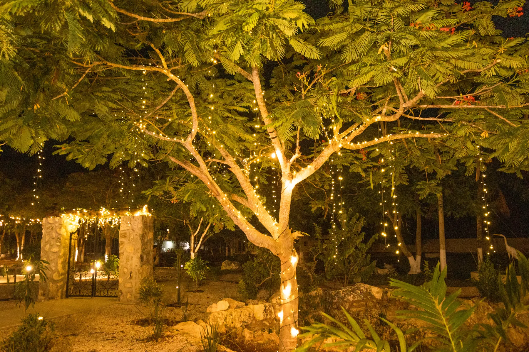 Galería wellness atmosphere